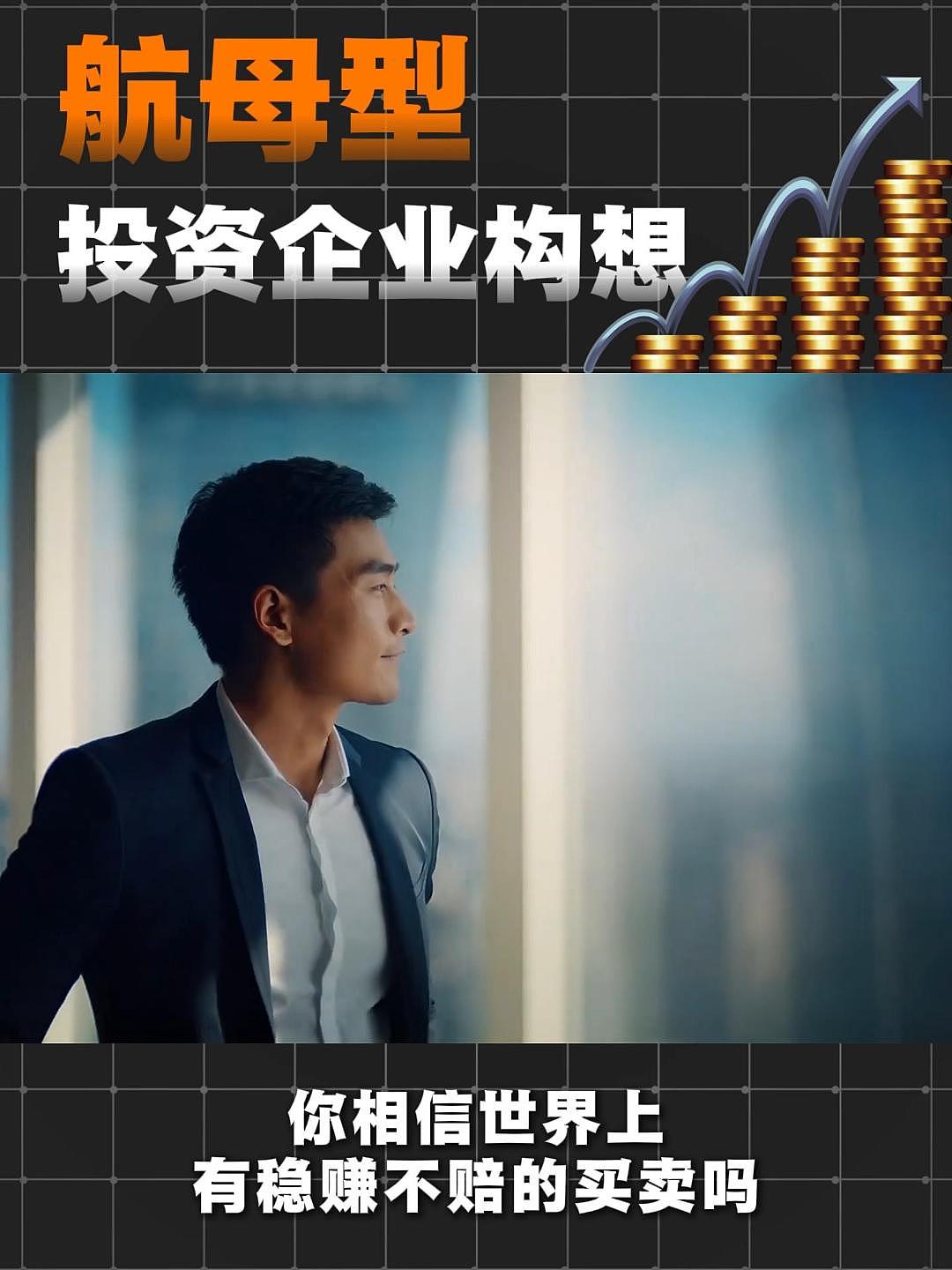 航母型投资企业构想