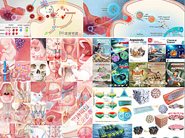 多刺激响应纳米颗粒，让抗癌药物更精准高效
