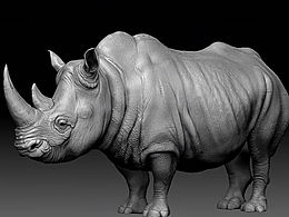 写实级别建模｜犀牛