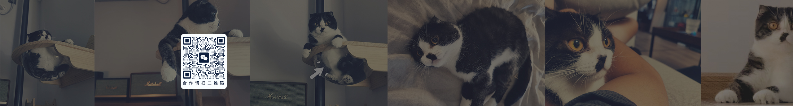 Turing_图灵的个人主页（封面预览） - 主页封面设置 - 站酷设计师Turing_图灵原创素材 - 站酷ZCOOL