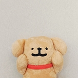 炫彩大土豆子的头像