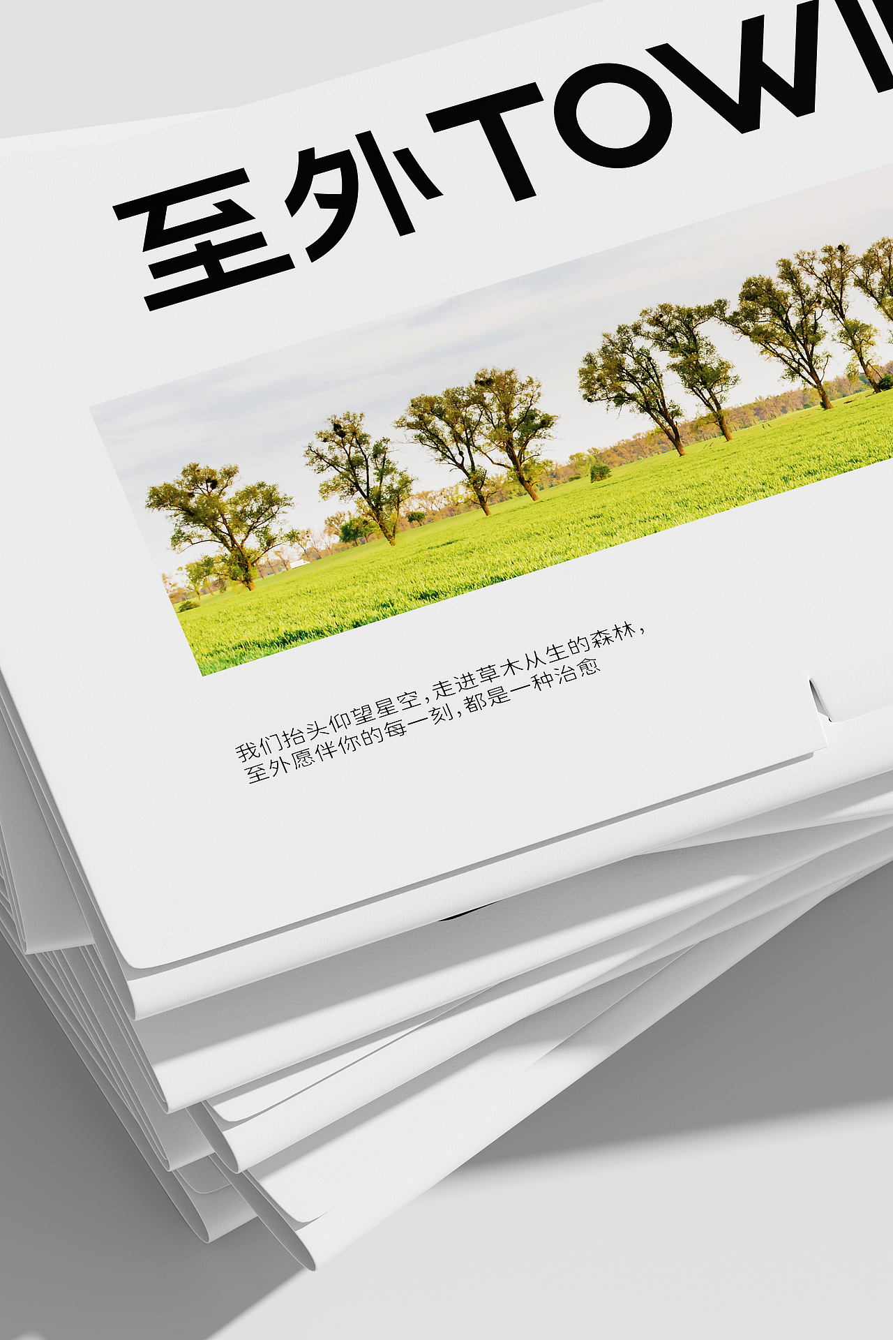 献场设计| TO WILD至外品牌全案视觉策划