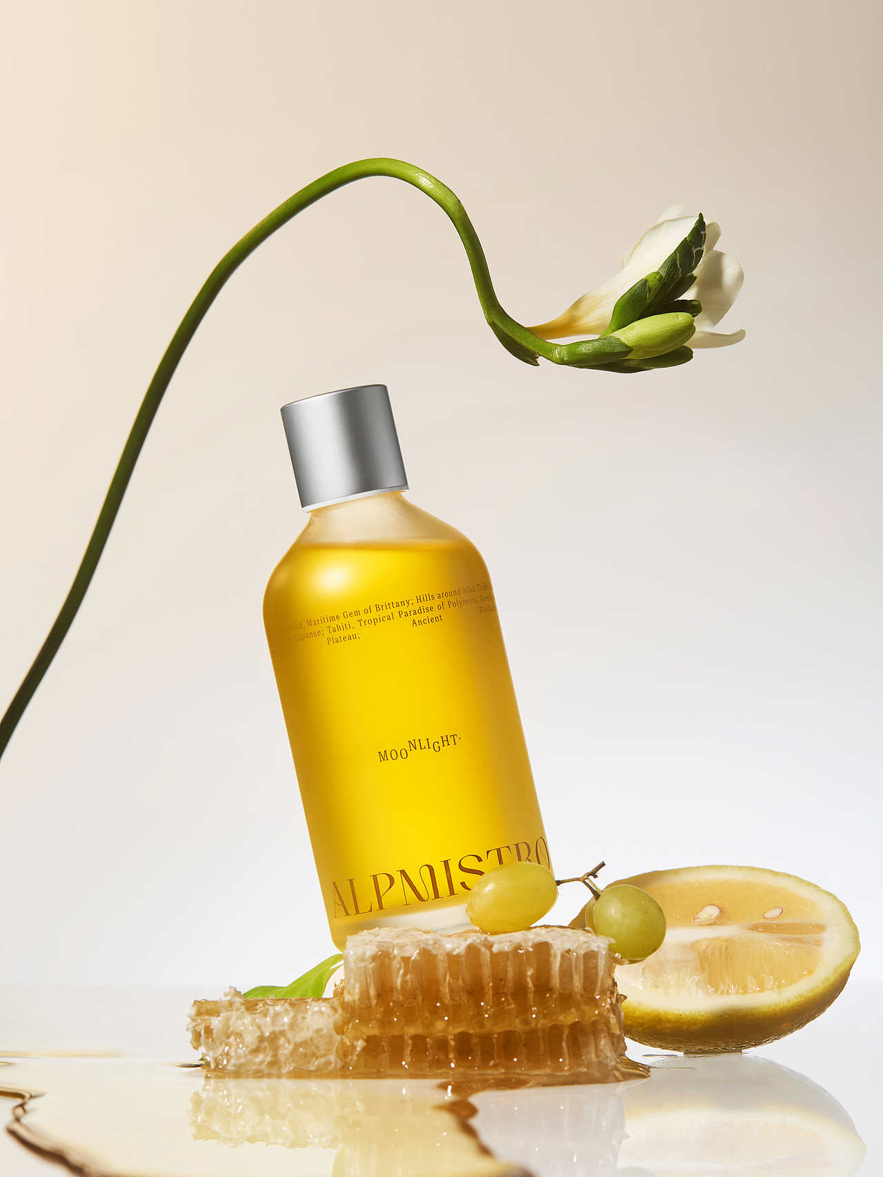 献场设计|ALPMISTRO:一场自然的诗境逸旅