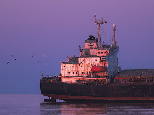 “海鸥粮，喂海鸥，五元1袋，十元3袋，扫码