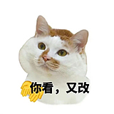 Eannn的头像