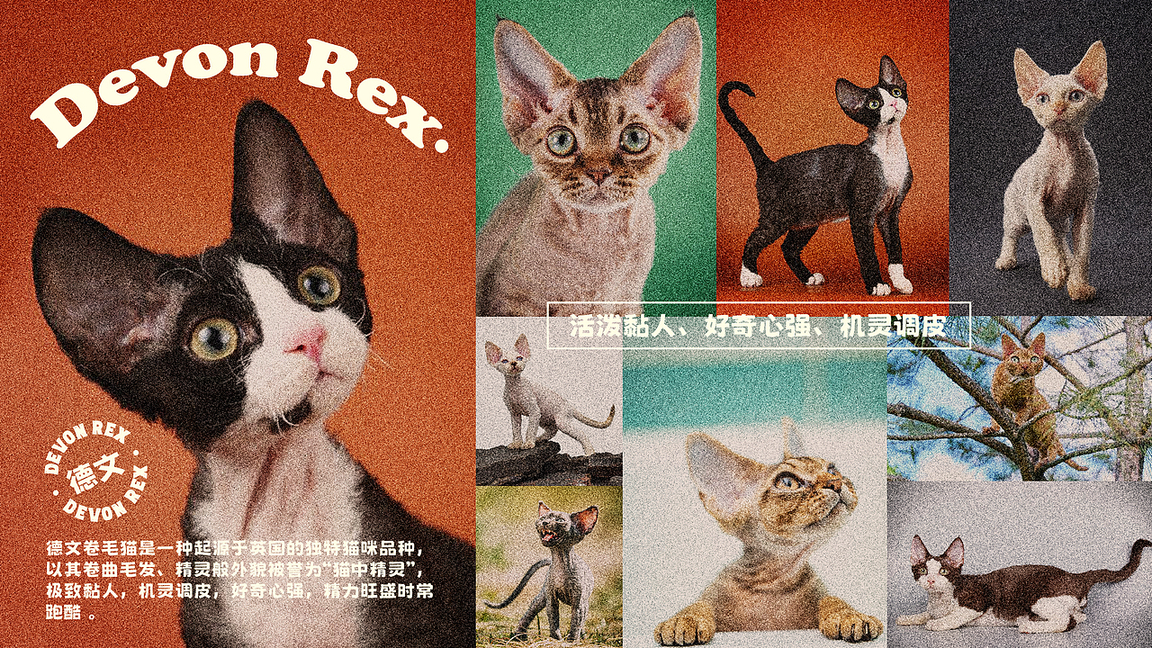 赤诚热烈的夏天!大玛仕原创IP设计【鸭梨狗&蓝美喵】