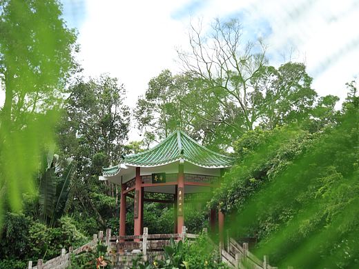 佳能R6IICitywalk深圳东湖公园