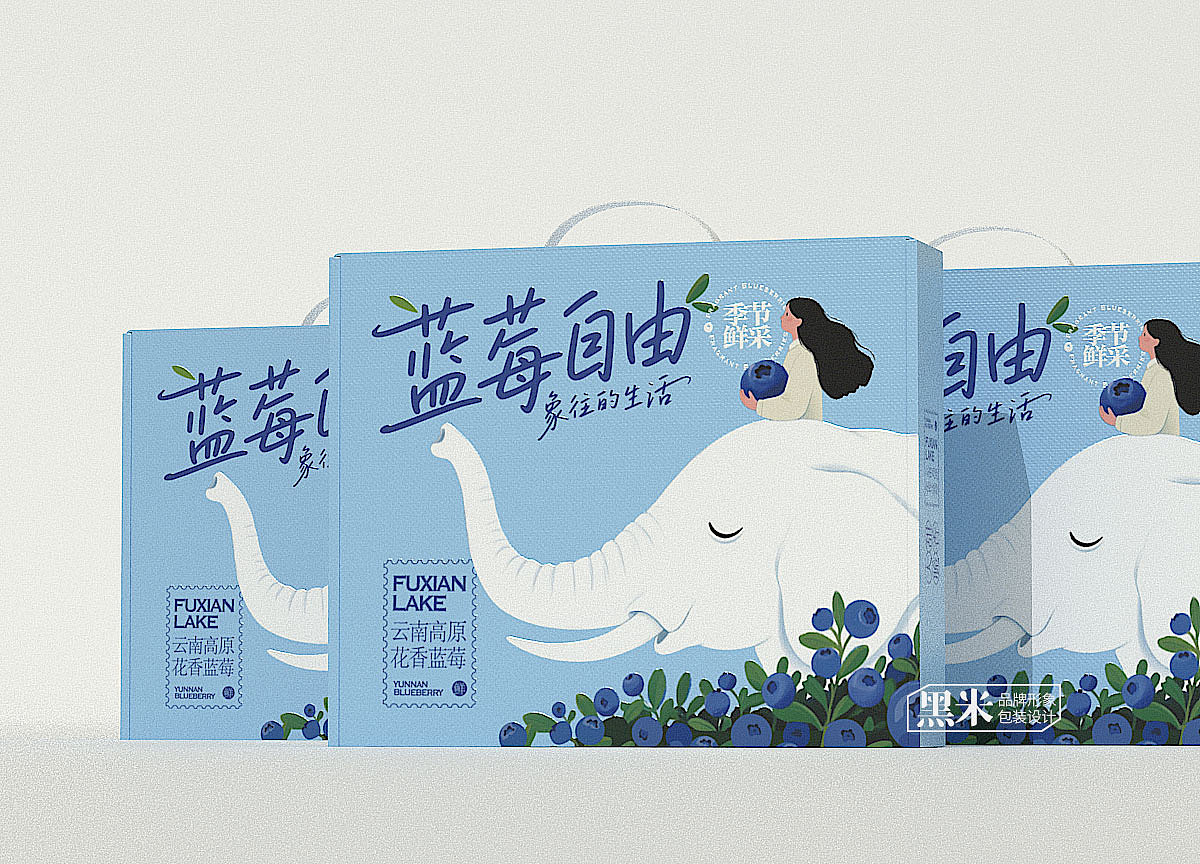 蓝莓礼盒包装设计 蓝莓包装设计 云南花香蓝莓（图ZMzk1NTEwMjY0） - 包装 - 站酷设计师黑米品牌设计原创素材 - 站酷ZCOOL