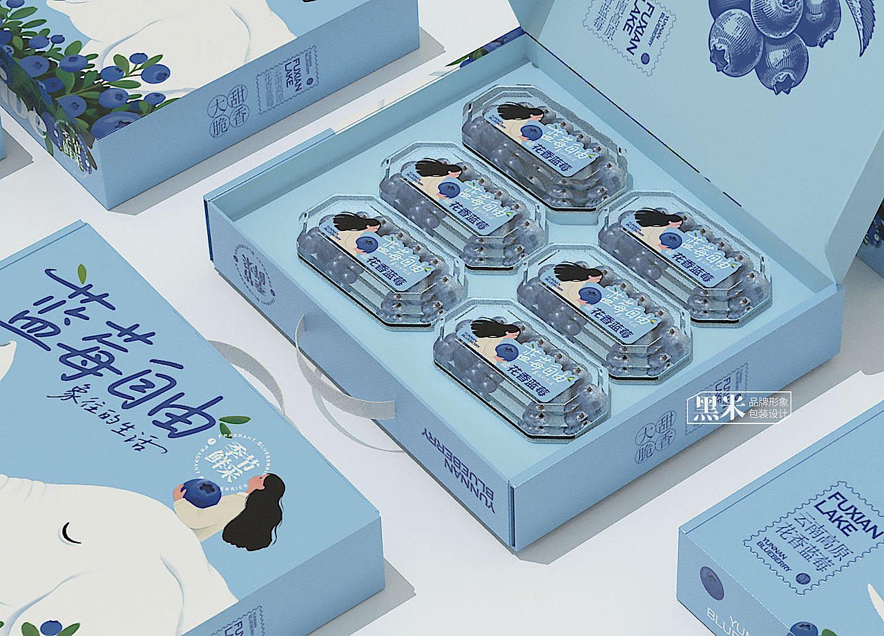 蓝莓礼盒包装设计 蓝莓包装设计 云南花香蓝莓（图ZMzk1NTEwMjgw） - 包装 - 站酷设计师黑米品牌设计原创素材 - 站酷ZCOOL