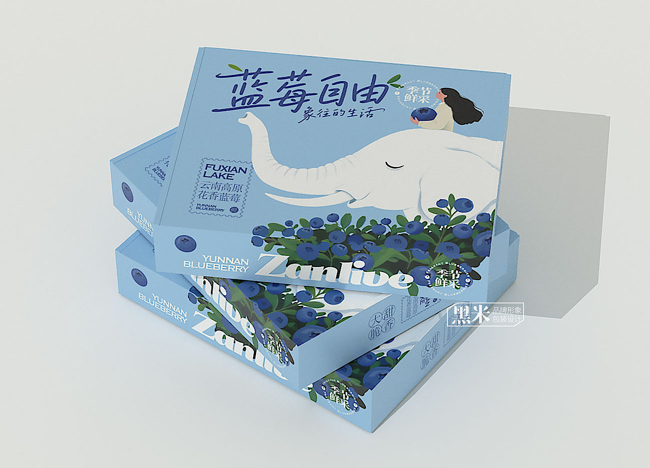 蓝莓礼盒包装设计 蓝莓包装设计 云南花香蓝莓（图ZMzk1NTEwMjc2） - 包装 - 站酷设计师黑米品牌设计原创素材 - 站酷ZCOOL