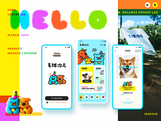 毛球次元｜宠物定制小程序