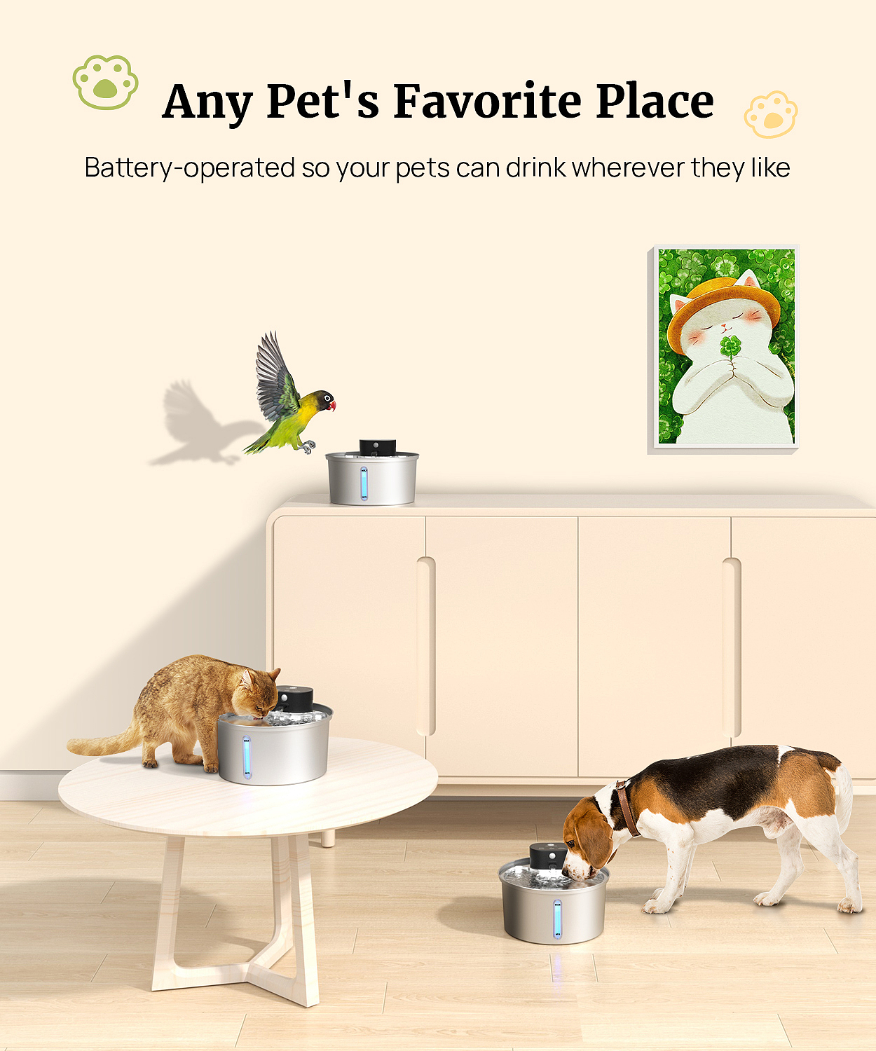 宠物饮水机
