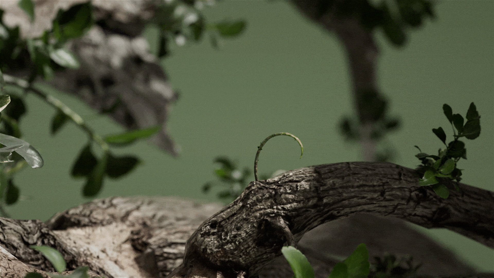 三维动态设计 猫王音箱