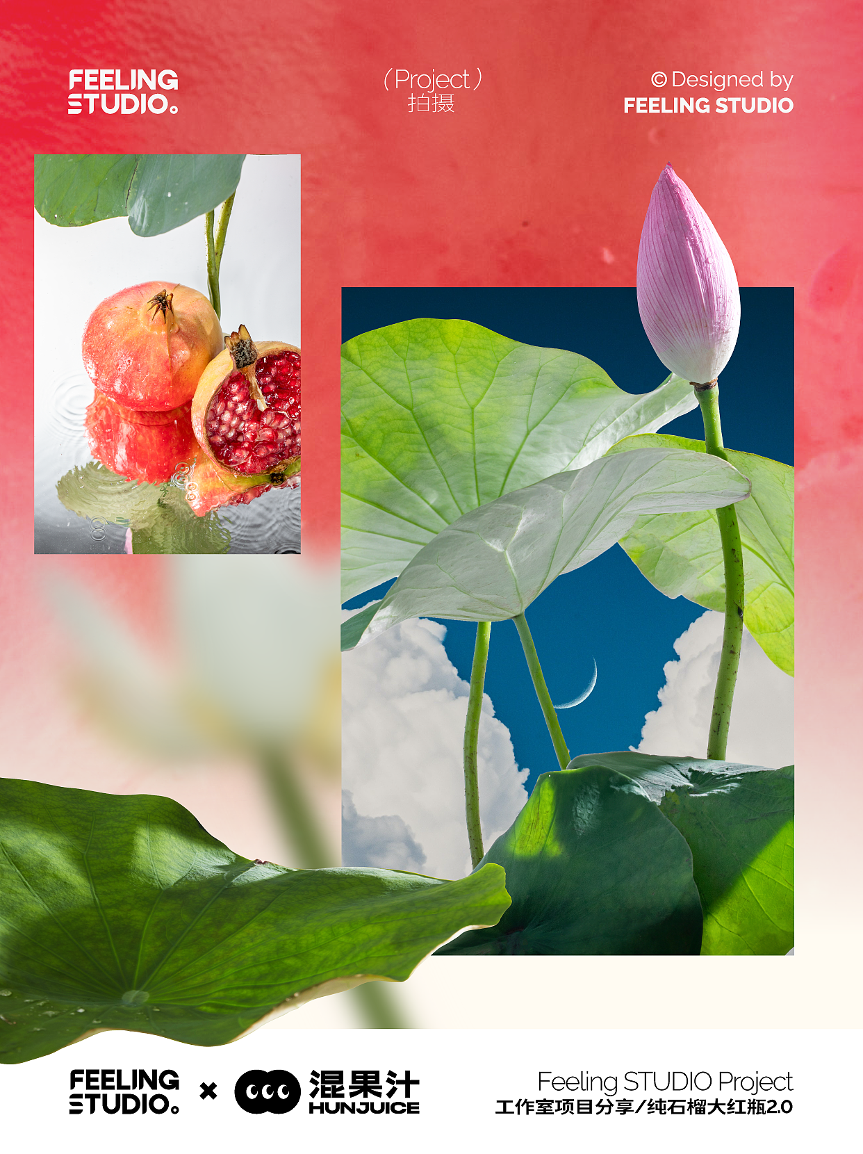 原创设计 | 一颗红石榴的两种视觉分享（下期）