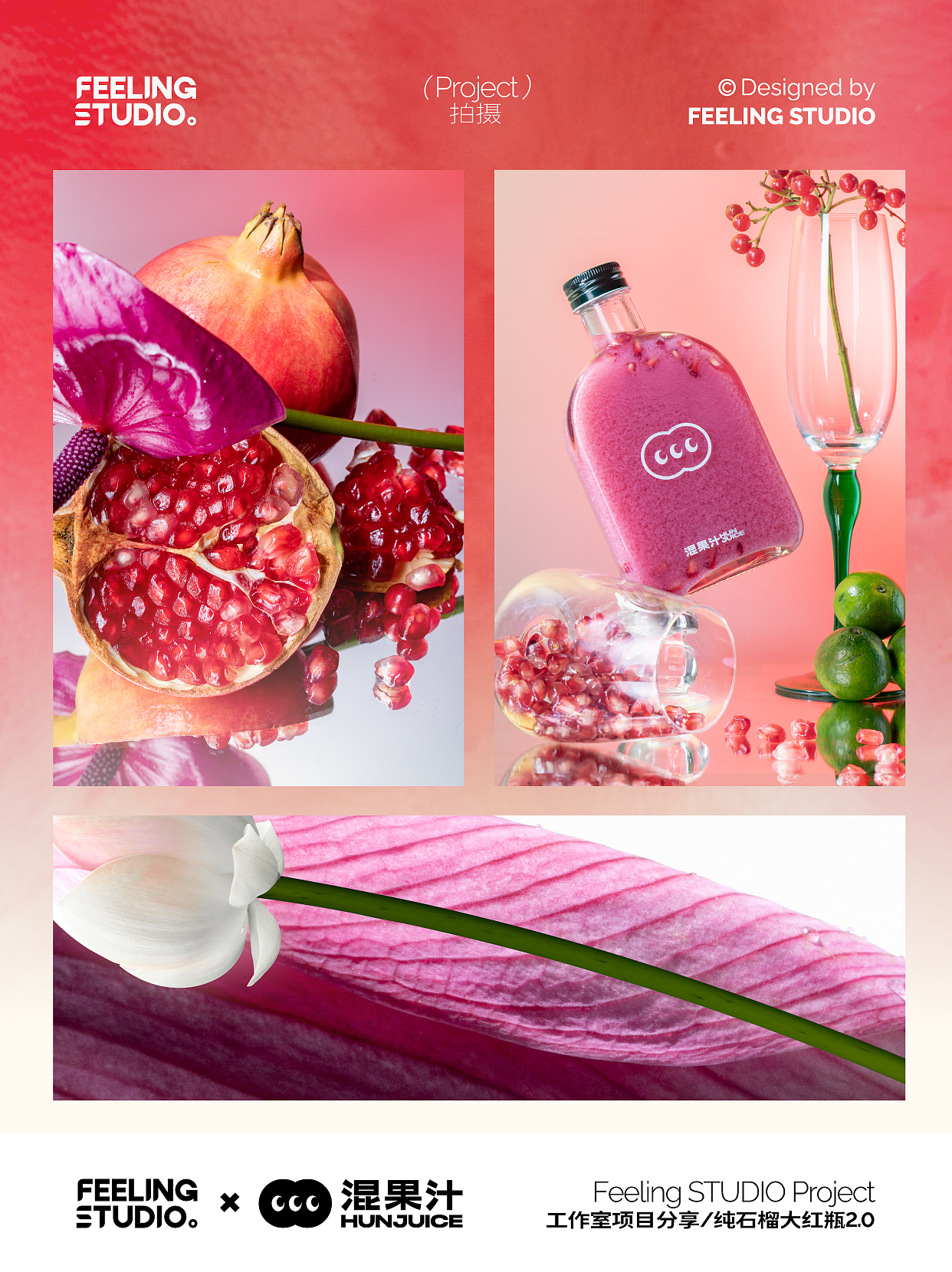 原创设计 | 一颗红石榴的两种视觉分享（下期）