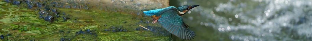 Walther168的个人主页（封面预览） - 主页封面设置 - 站酷设计师Walther168原创素材 - 站酷ZCOOL