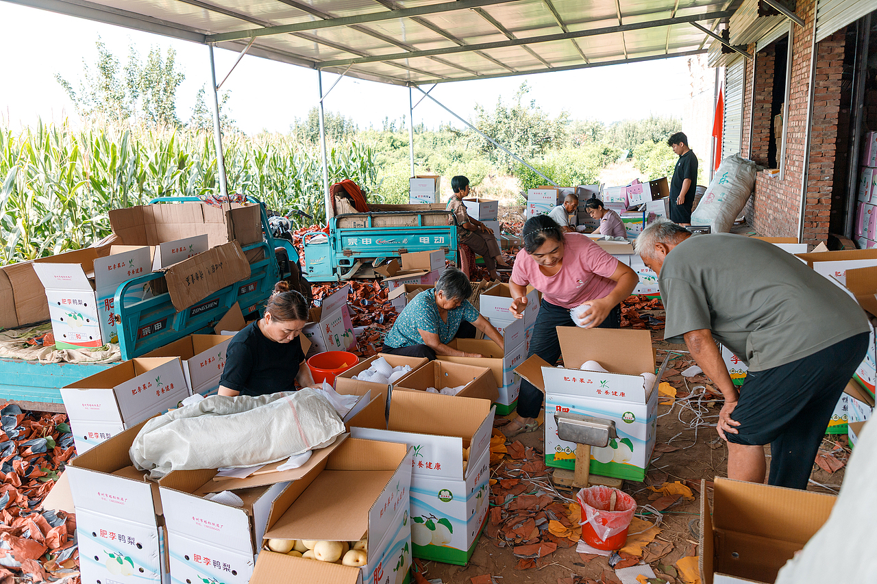 卖鸭梨（图ZMzk1NTc2Mzg4） - 其他摄影 - 站酷设计师pear1103原创素材 - 站酷ZCOOL