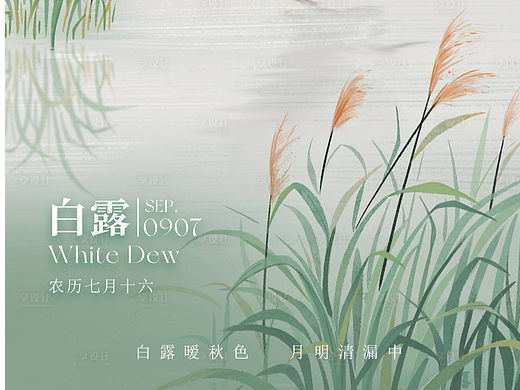 白露节气海报