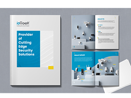 IEGEEK渠道宣传手册