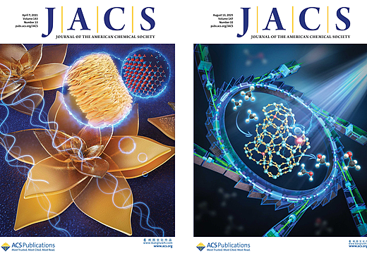 JACS杂志封面作品合集展示