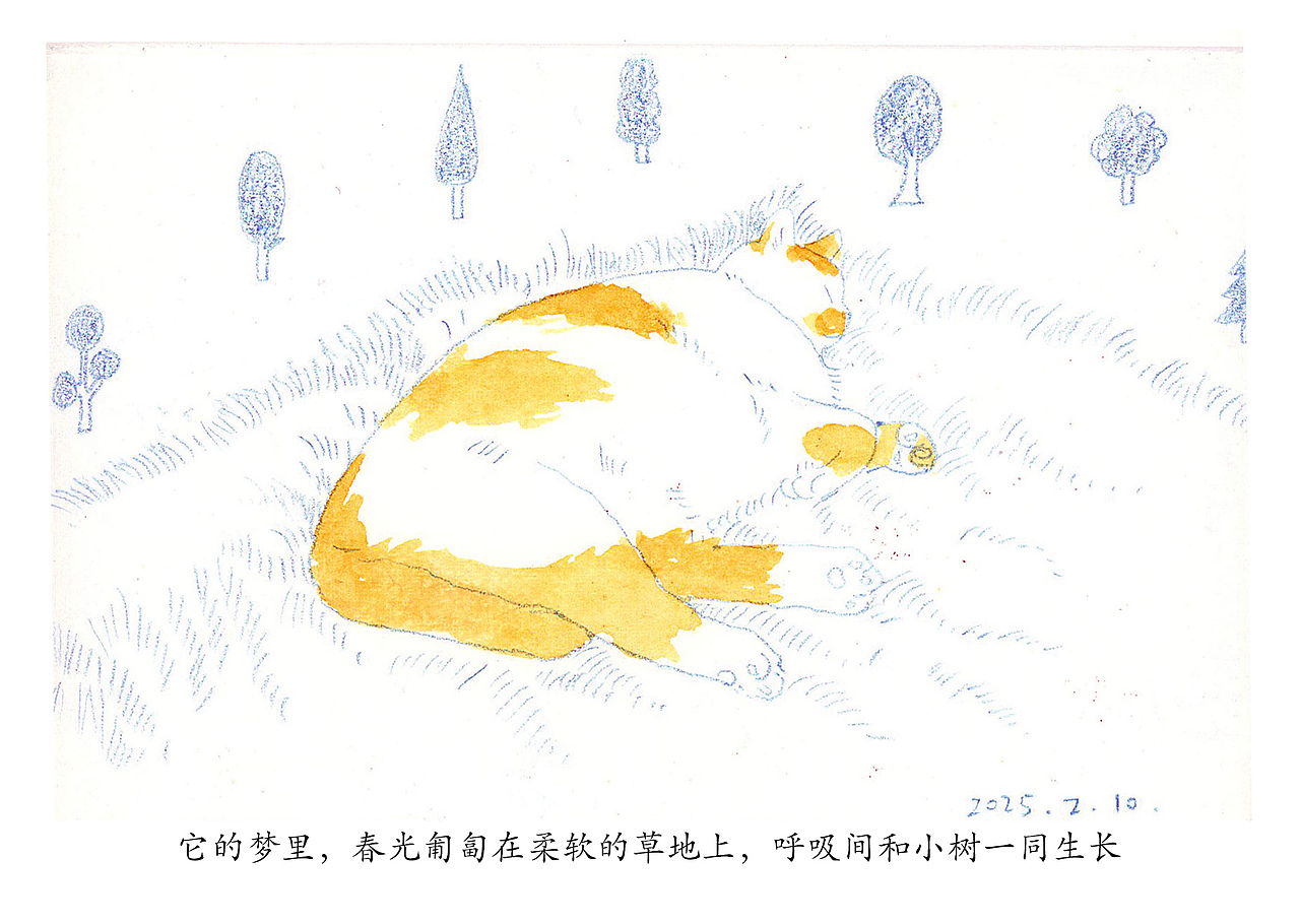 小猫的梦（图ZMzk1NjY4OTQ0） - 儿童插画 - 站酷设计师马豆子原创素材 - 站酷ZCOOL
