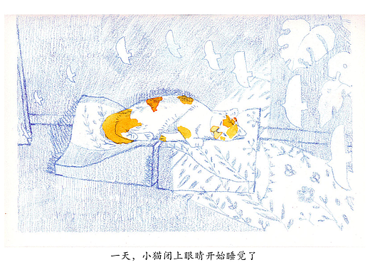 小猫的梦