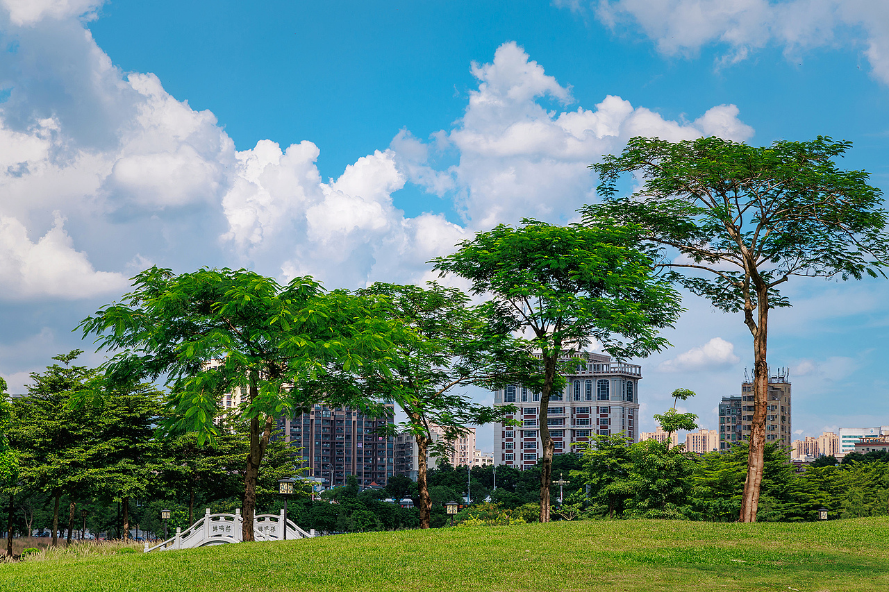 我在深圳石岩湿地公园 拍到了宫崎骏漫画里的夏天