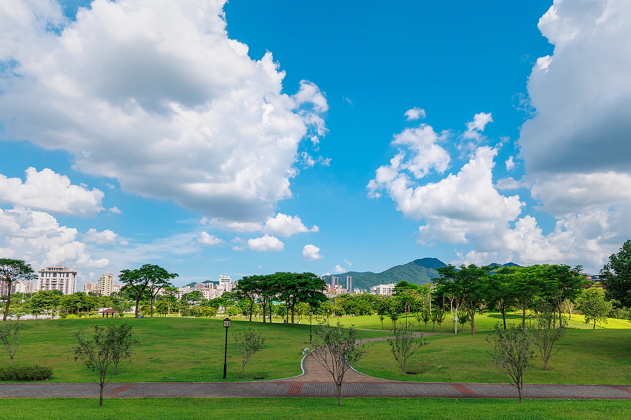 我在深圳石岩湿地公园 拍到了宫崎骏漫画里的夏天