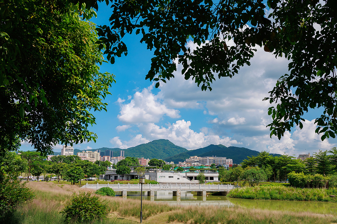 我在深圳石岩湿地公园 拍到了宫崎骏漫画里的夏天