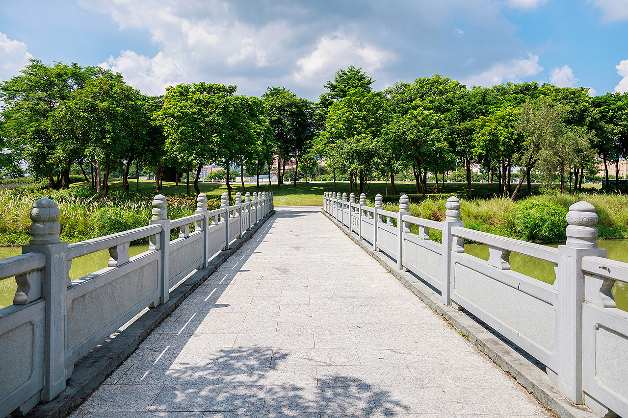 我在深圳石岩湿地公园 拍到了宫崎骏漫画里的夏天