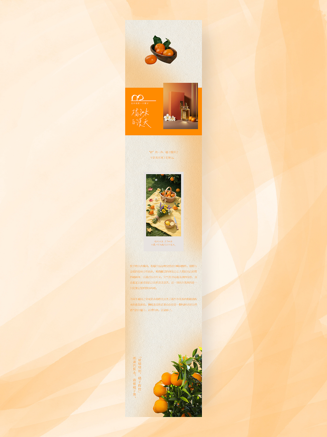 「闯入一颗橘子的微观宇宙」公众号推文排版（图ZMzk1Njg5Mjky） - 其他平面 - 站酷设计师Xxxworkaholic_原创素材 - 站酷ZCOOL