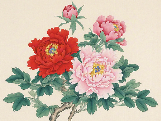 裂图在哪里