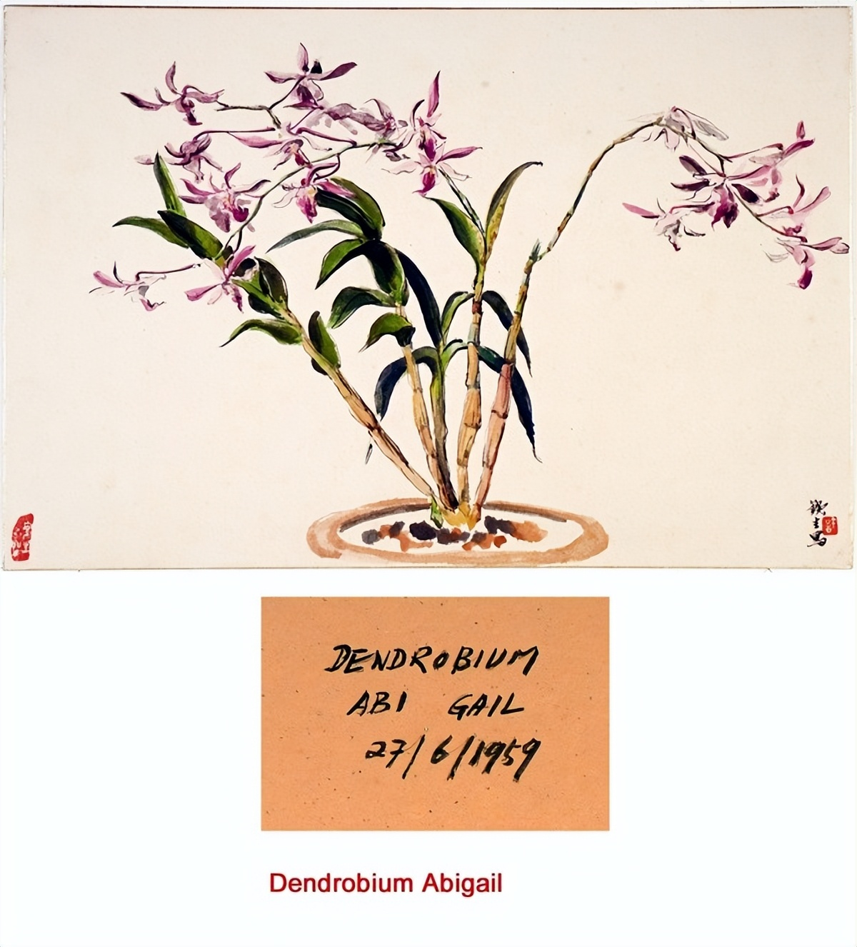 重识巨匠：许铁生与中国现代艺术的南洋之路（图ZMTUyMDQ0MjA=） - 资讯 - 站酷设计师壹号观察原创素材 - 站酷ZCOOL