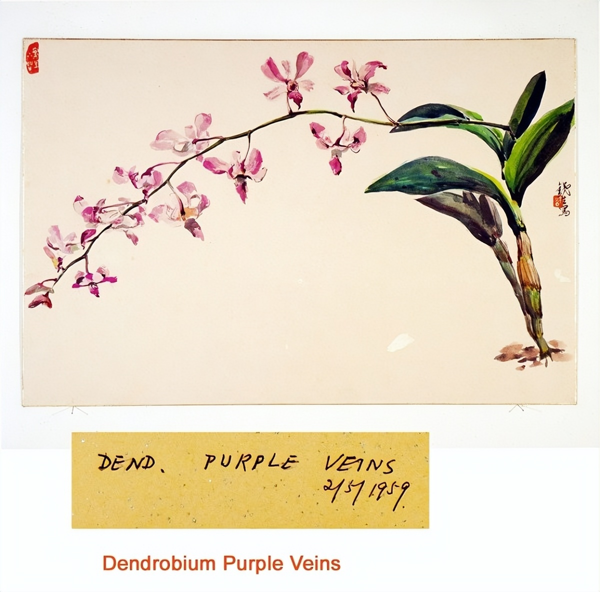 重识巨匠：许铁生与中国现代艺术的南洋之路（图ZMTUyMDQ0MjQ=） - 资讯 - 站酷设计师壹号观察原创素材 - 站酷ZCOOL