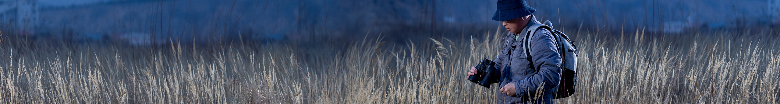 森林摄影的个人主页（封面预览） - 主页封面设置 - 站酷设计师森林摄影原创素材 - 站酷ZCOOL