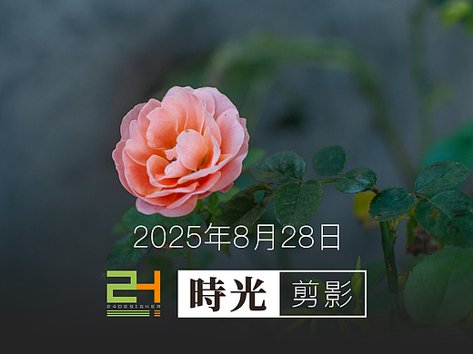 时光剪影 - 2025年8月28日