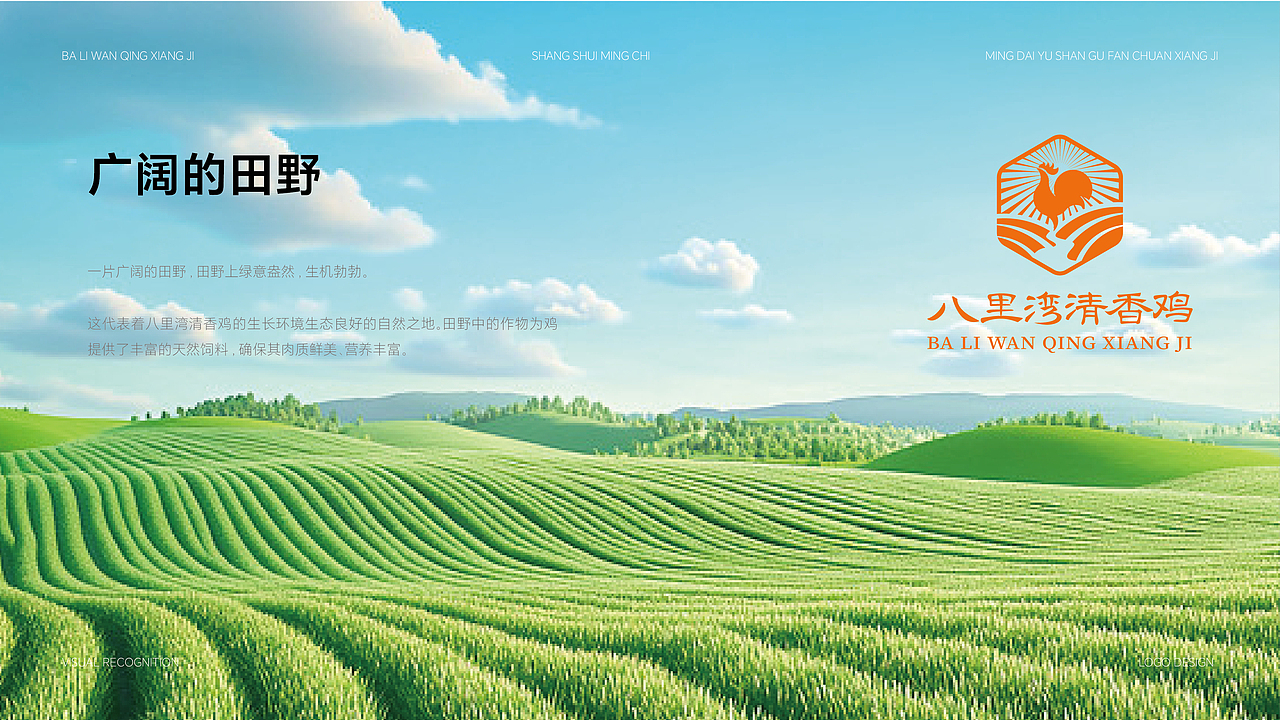 “八里湾清香鸡”餐饮LOGO设计（图ZMzk1Nzg3OTk2） - Logo - 站酷设计师秦阿诺原创素材 - 站酷ZCOOL