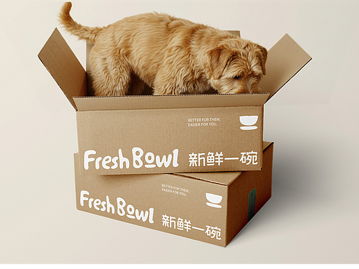 Fresh Bowl 新鲜一碗｜ Brand identity