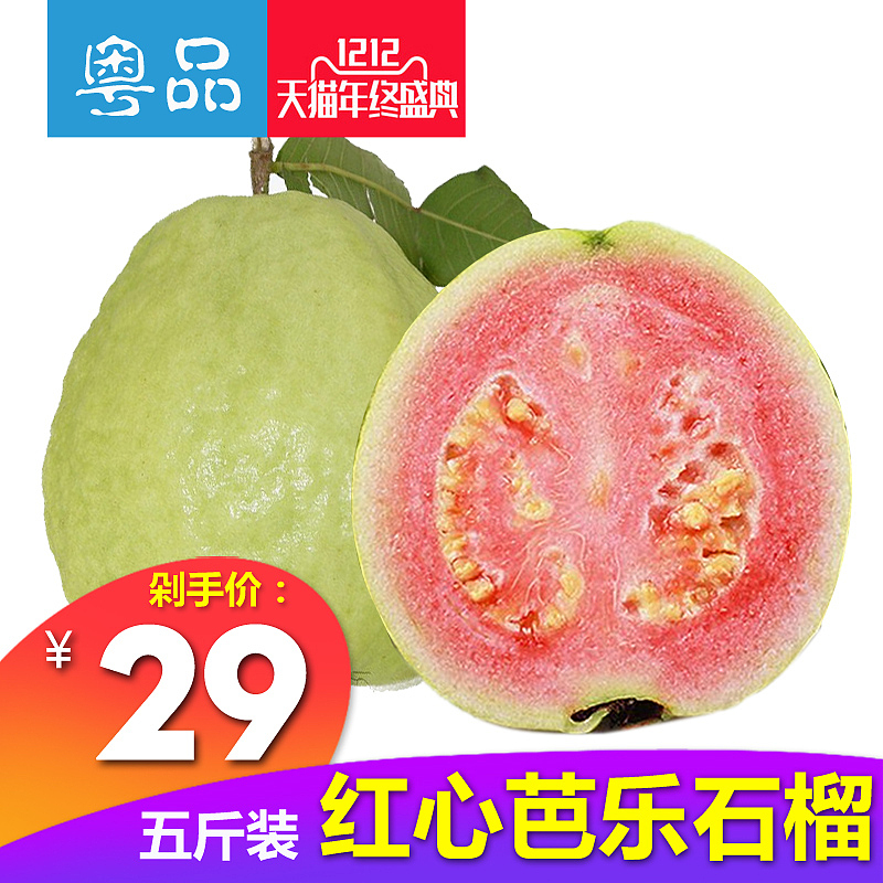 2016（圖ZMzk1ODAwODE2） - 海報 - 站酷設(shè)計師pengenjoy原創(chuàng)素材 - 站酷ZCOOL