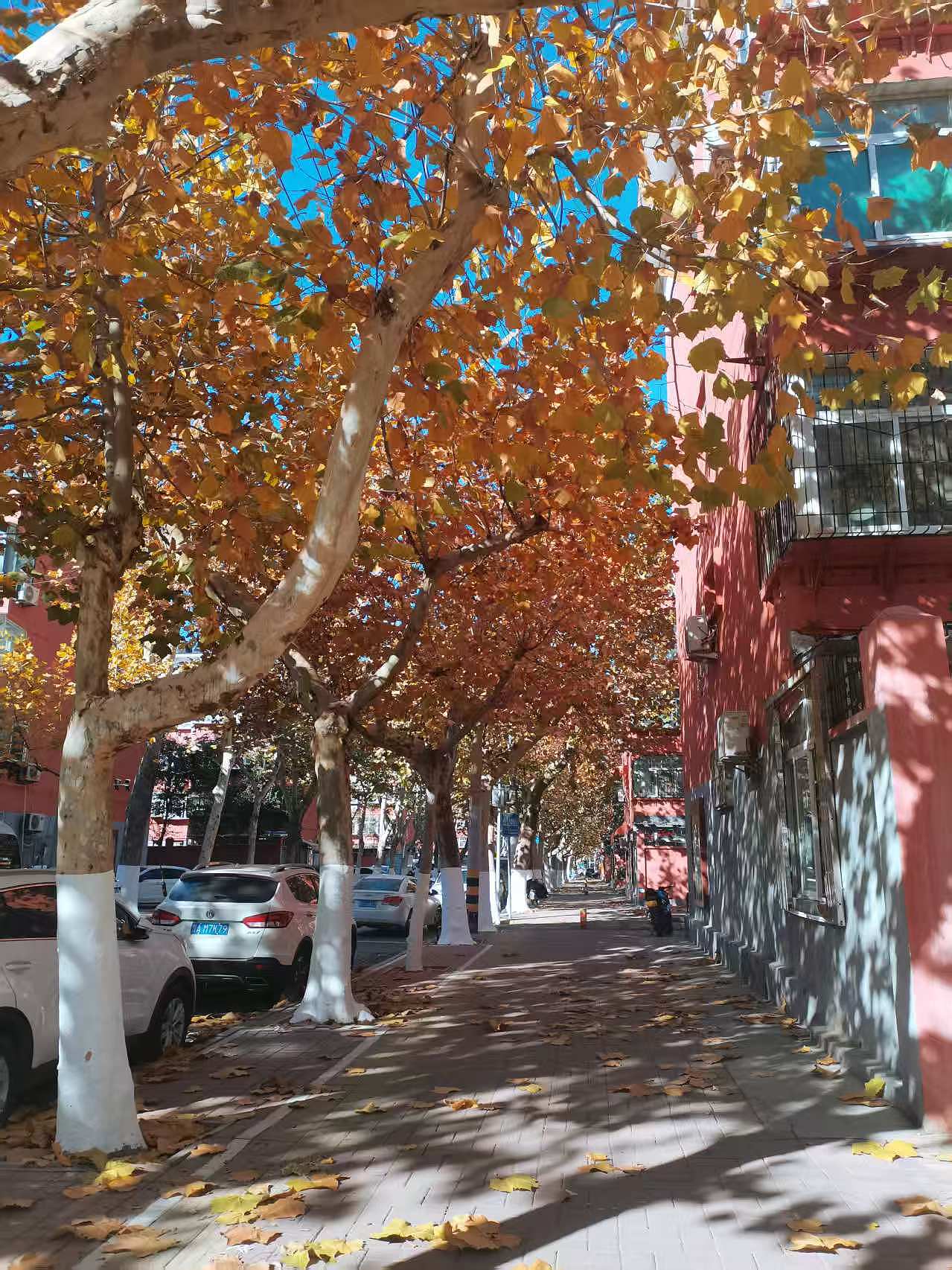 插画分享:济南旧居记