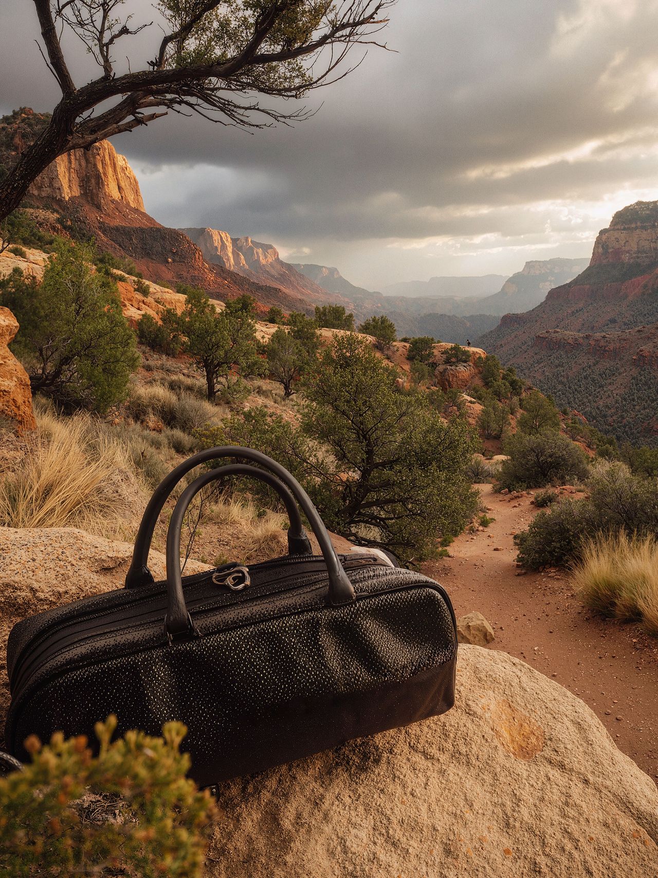 AI制作|包-静物第二弹