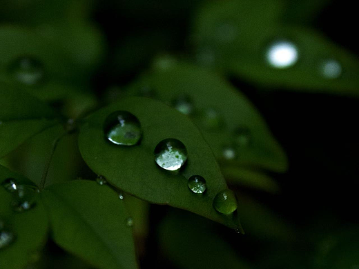入秋后的雨季