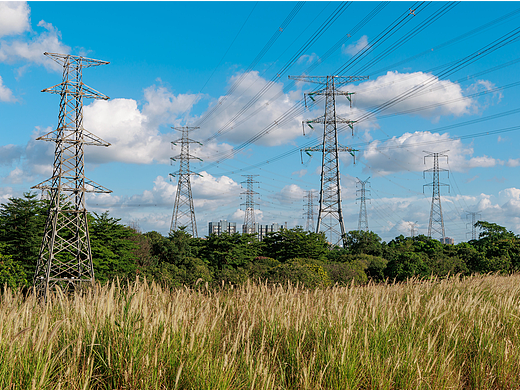 深圳陌上花公园
