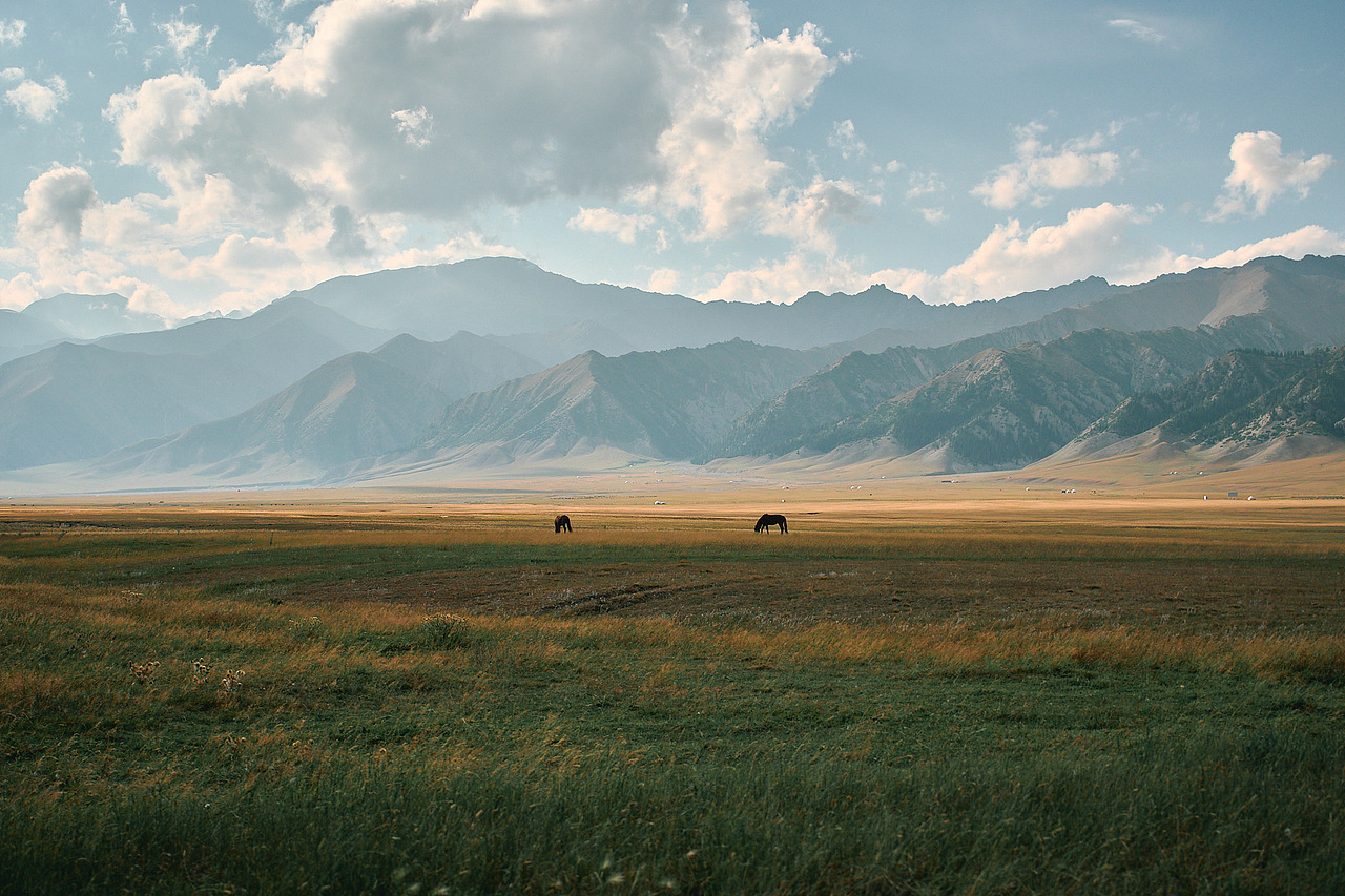 两匹自由自在，埋头猛吃的马儿🐎