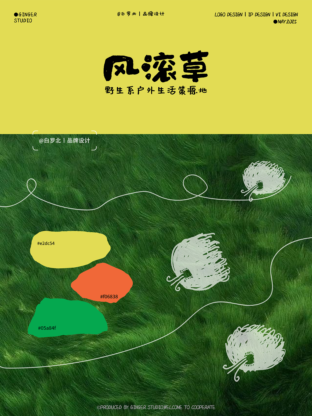 【白罗北品牌设计合集上】猫粮/露营/咖啡/火锅/蟹黄面