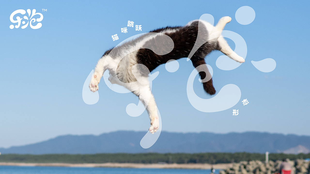 乐泡Lepdw | 宠物品牌视觉设计