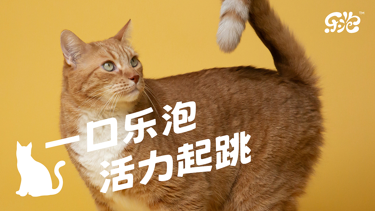 乐泡Lepdw | 宠物品牌视觉设计（图ZMzk1ODUwNjE2） - 品牌 - 站酷设计师纸本水文品牌设计原创素材 - 站酷ZCOOL