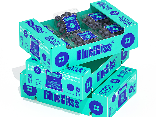 《BlueBliss - 雾野蓝珠》农产品蓝莓水果包装设计