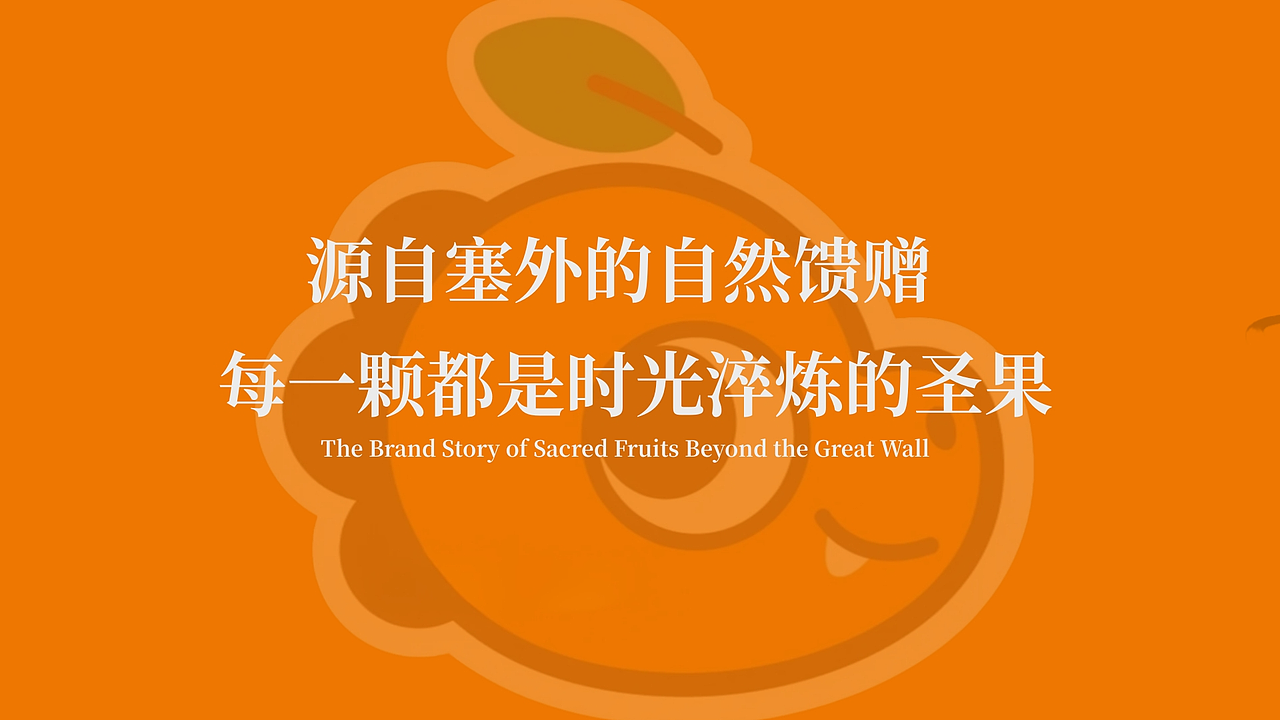 塞外圣果 提案设计