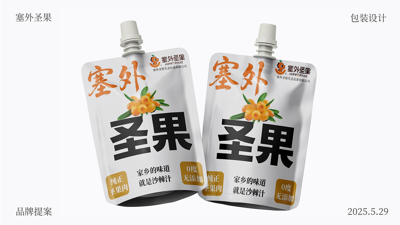 塞外圣果 提案设计